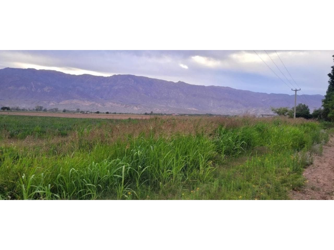 Venta. Lotes En Pocito
