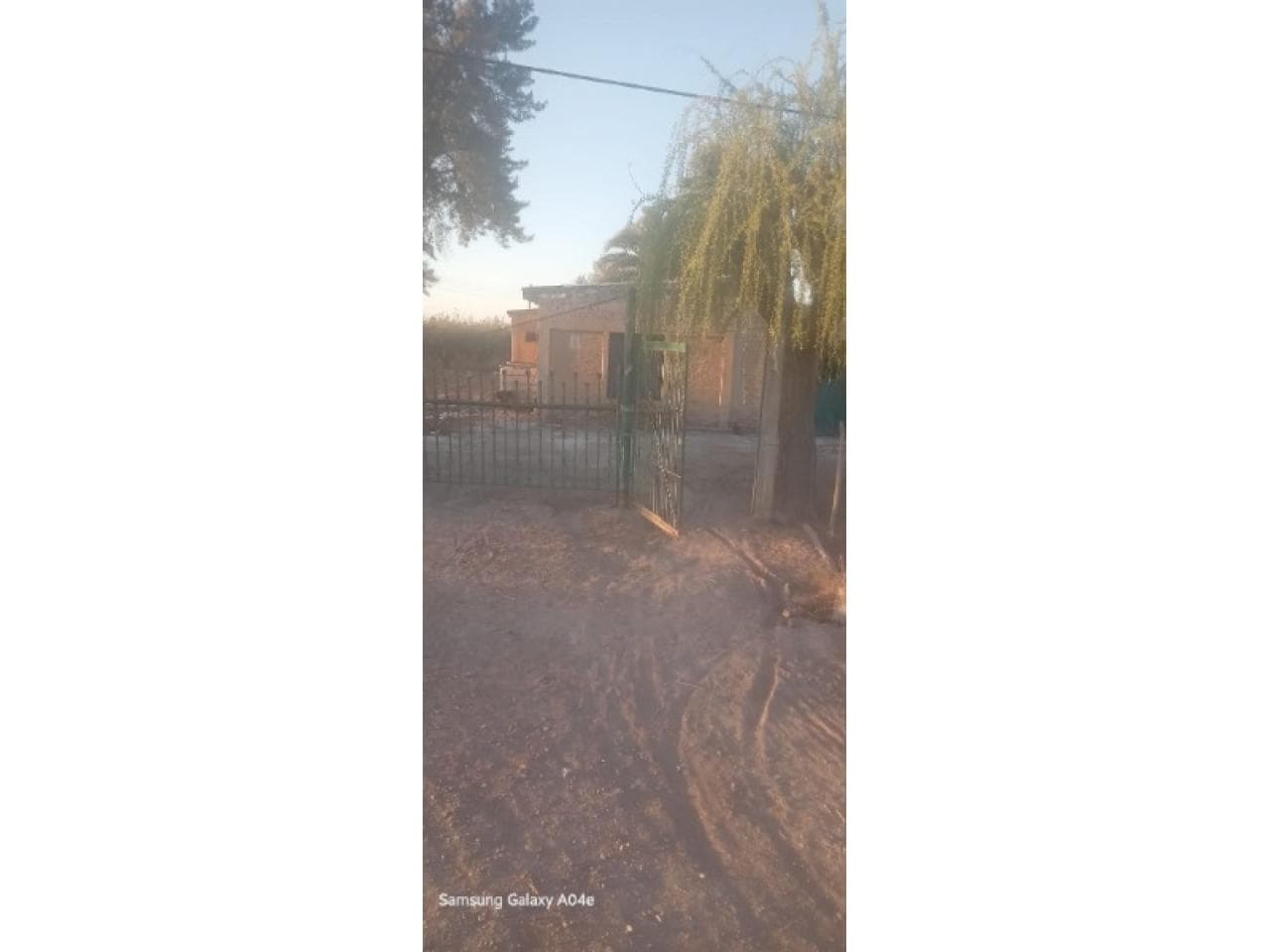 Venta. Finca 21 Ha - 25 De Mayo ( Villa Borjas)