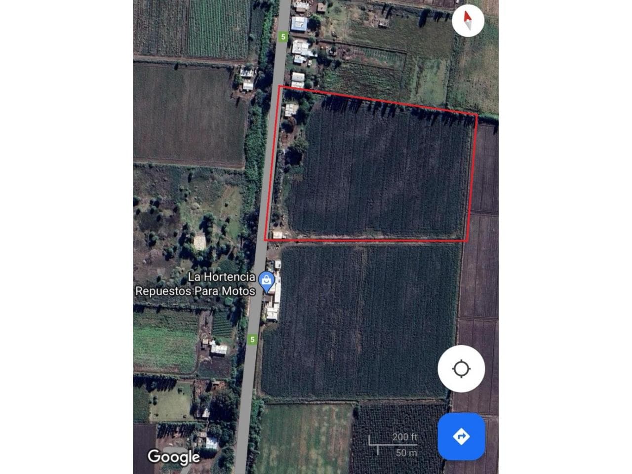 Inversionistas Venta Finca De 5 Ha En Medano De Oro - A 15 Minutos Del Centro