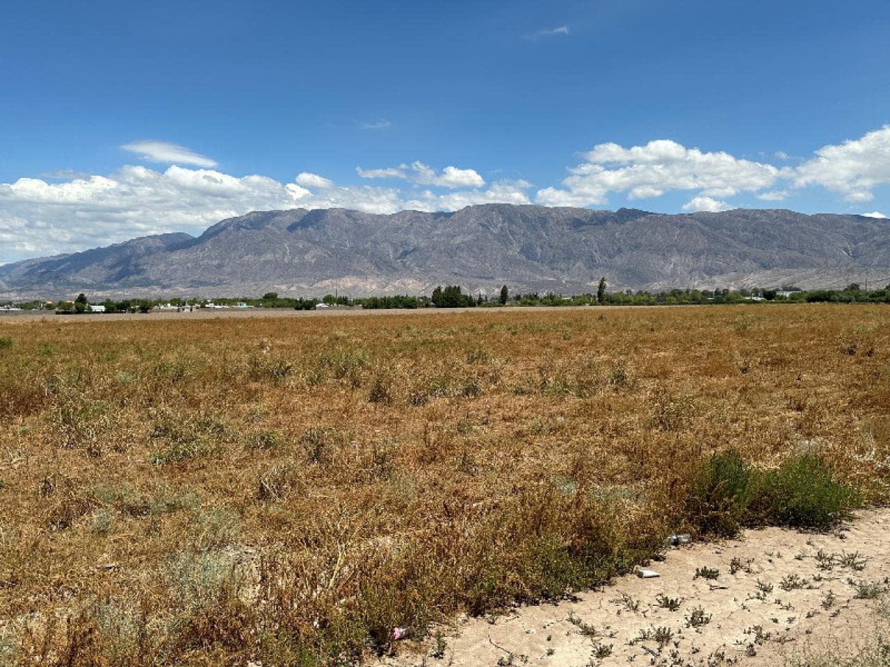 Excelente Finca De 10 Has Sobre Calle 10 Asfaltada Entre Lemos Y Chavez