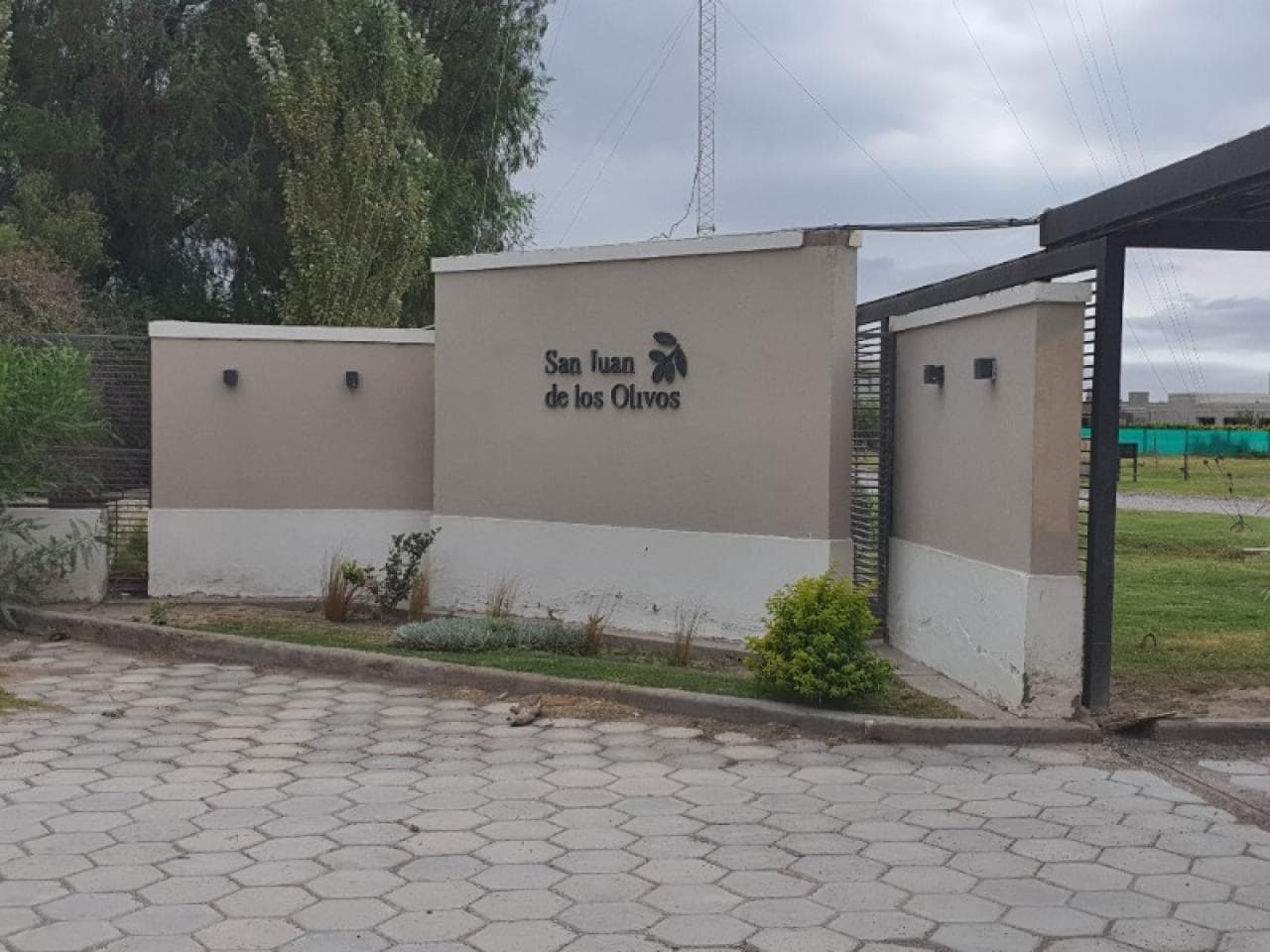 Martillera Vende Lote En Barrio San Juan De Los Olivos