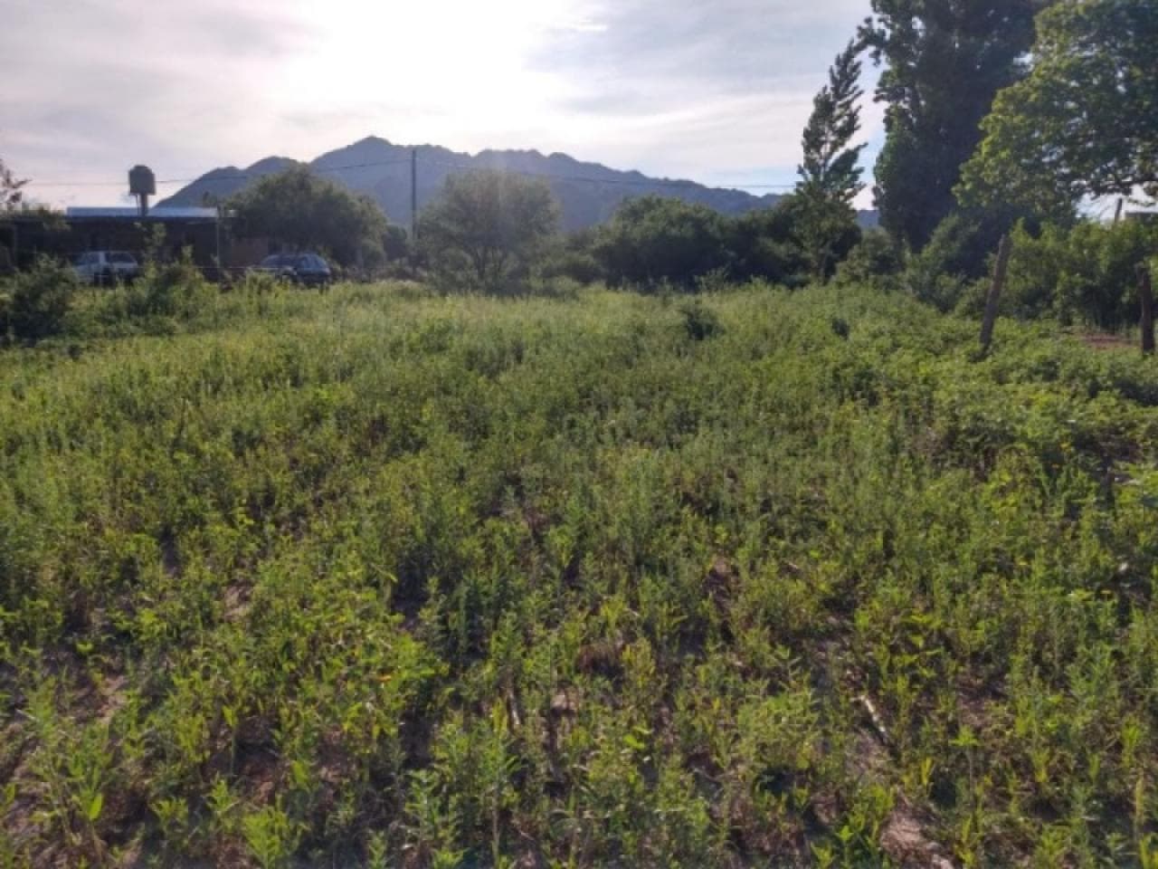 Venta De Lote. 2454 M2. Valle Fértil. Mls#420981154-4
