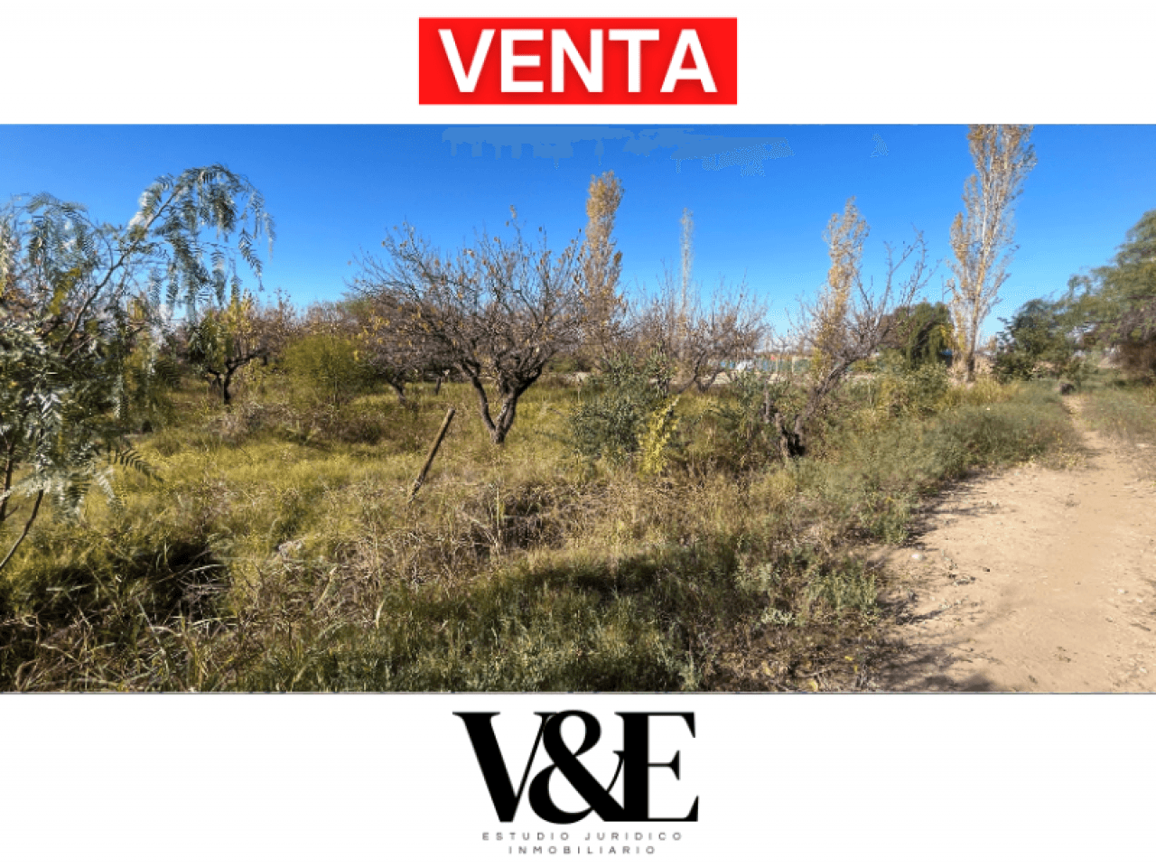 Venta. Finca De 4h En Albardón