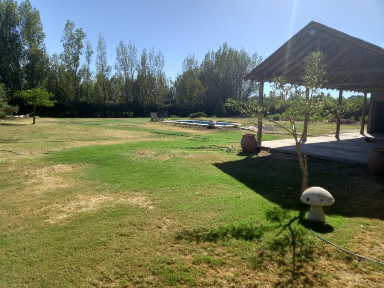 Oportunidad - Liquidamos Quinta Con Pileta , Quincho Y Parque De 2.000 M2 - Colonia Rodas , Medano.-