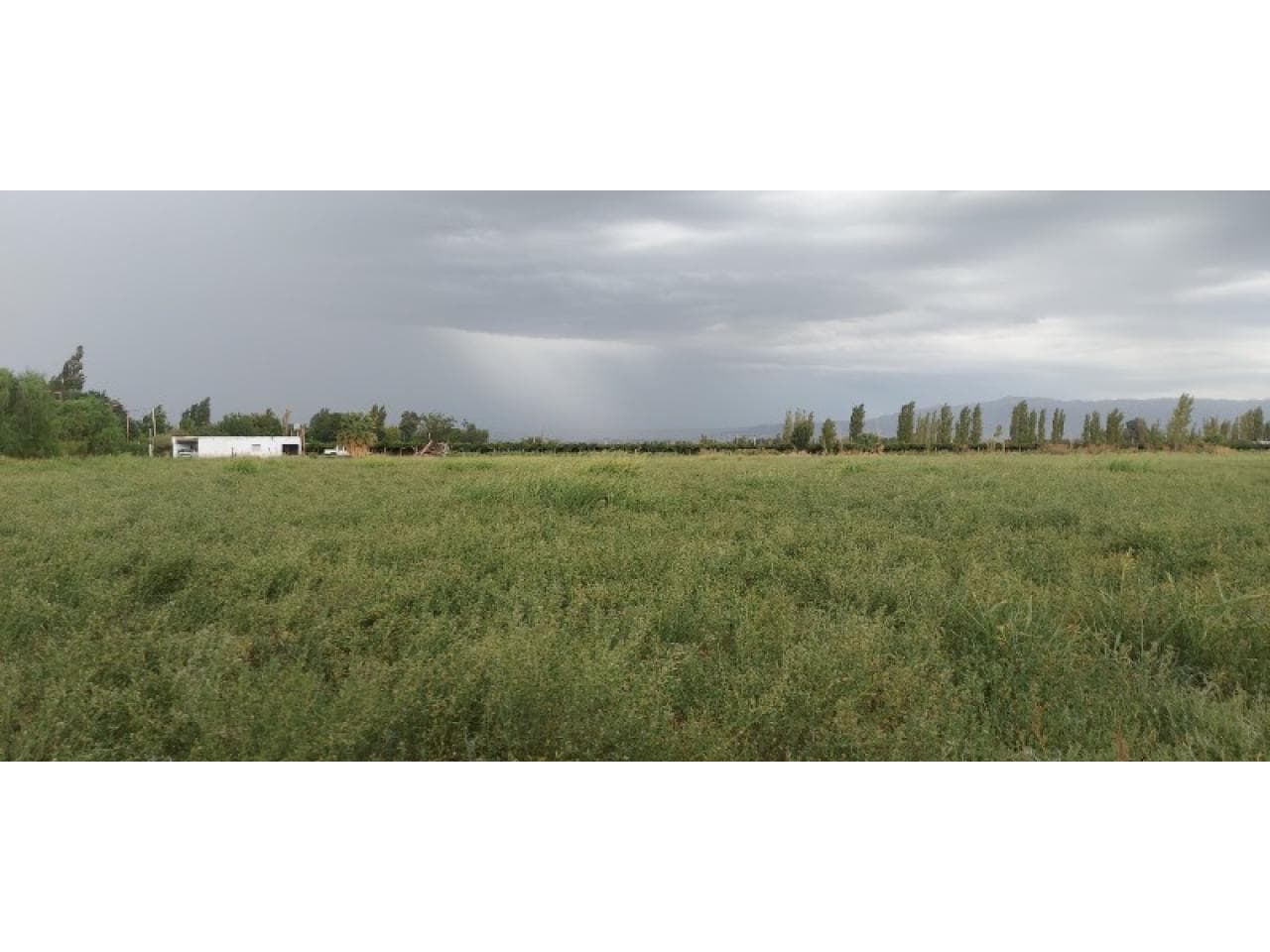 Venta. Finca Angaco