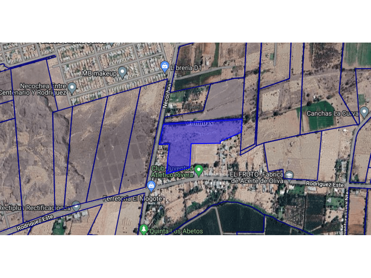 Venta. Sobre Cale Necochea 300 Mts Al Norte De Rodriguez 4 Hectareas 1.600 M2