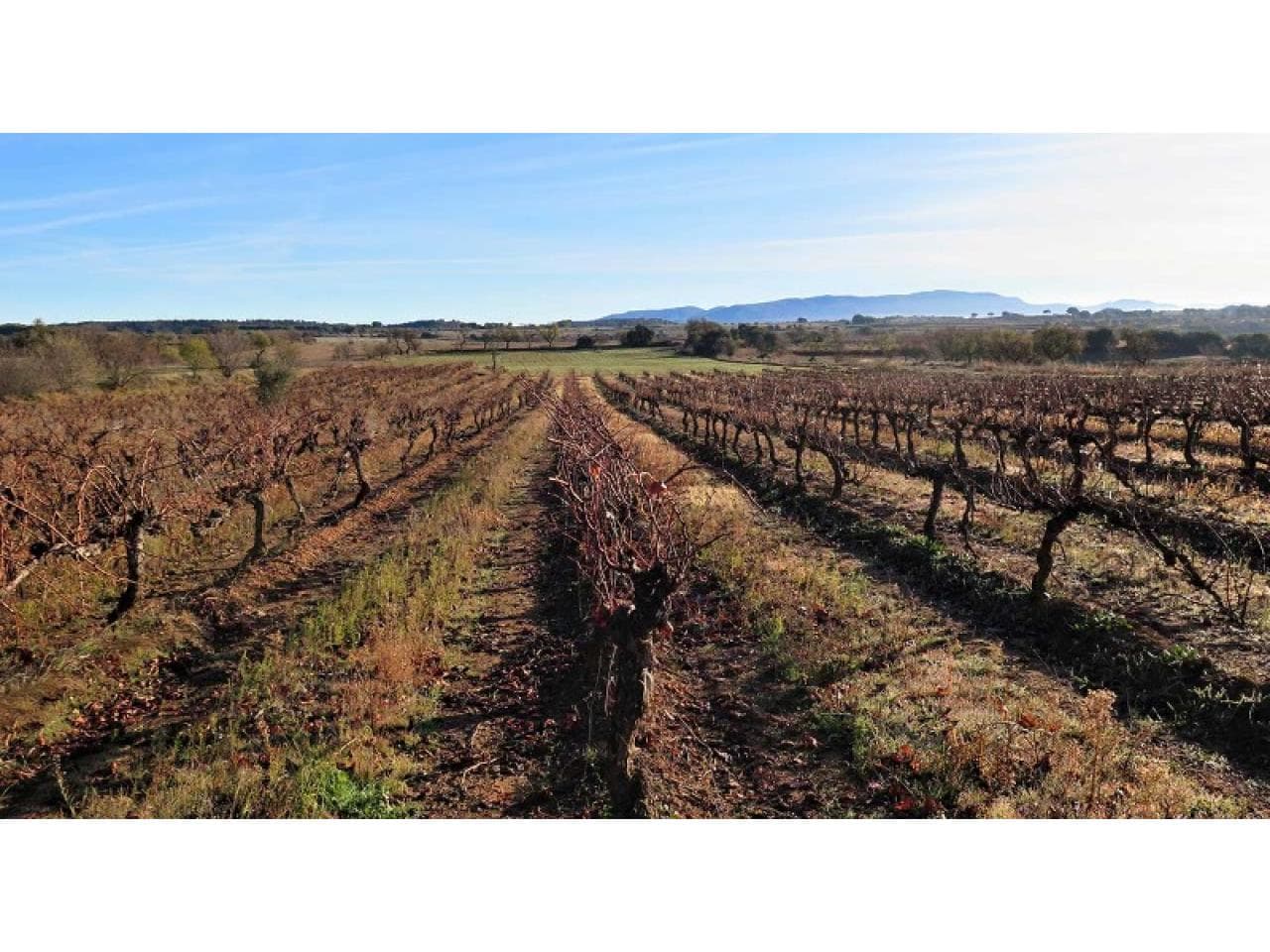 Venta. Imperdible Finca En 9 De Julio