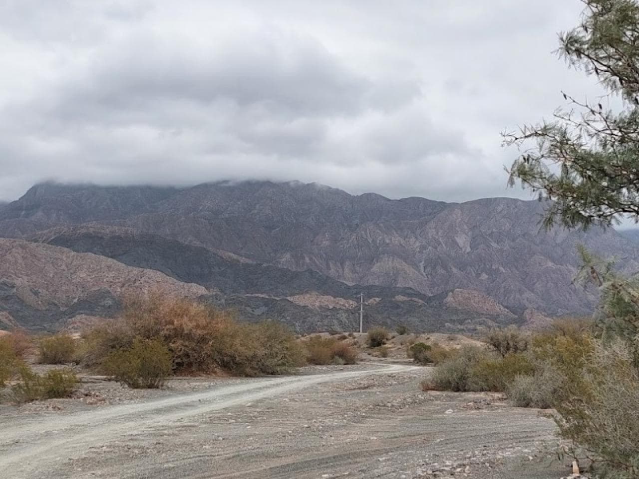Venta. Campo 350 Has La Rinconada Pocito - San Juan