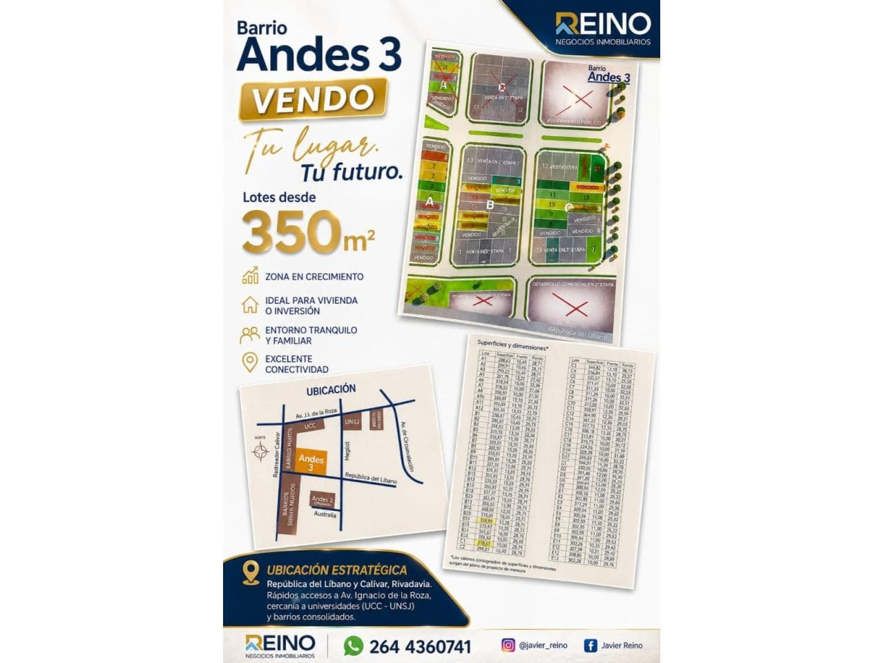 Remato-  Lote. Los Andes.- Rivadavia.