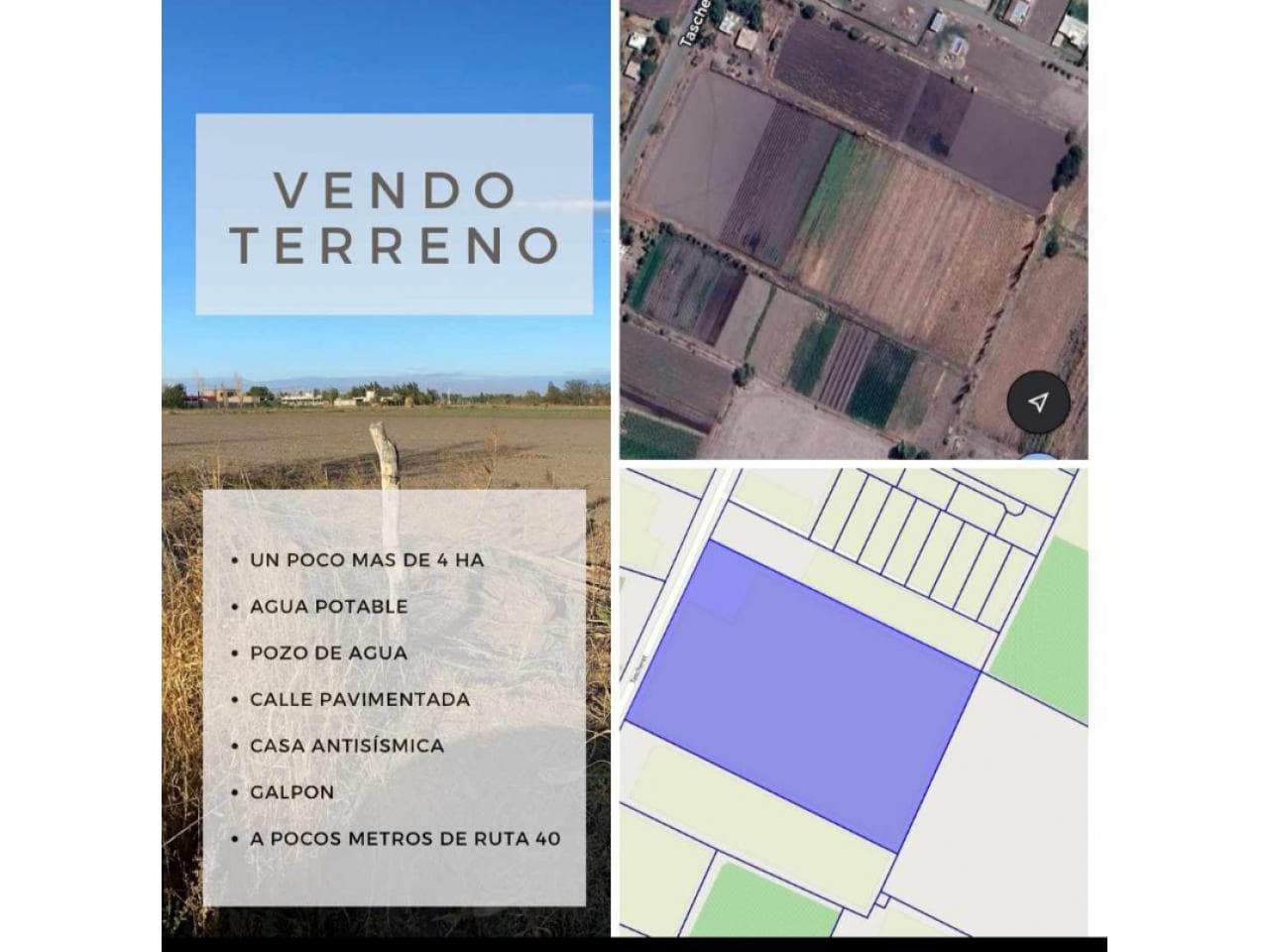 Venta De 4 Hectáreas Pocito