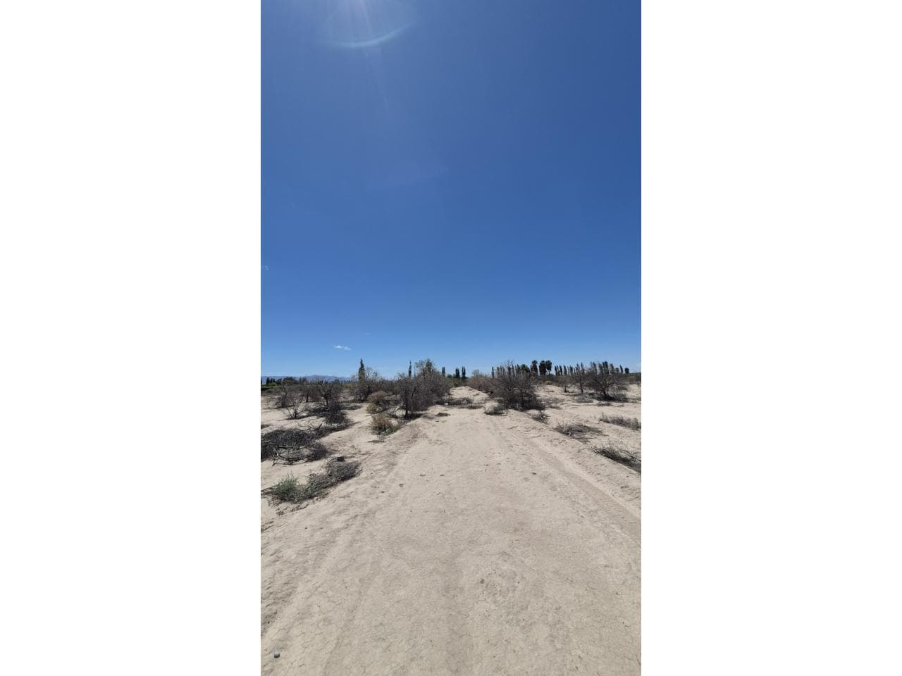 Venta. Terreno De 9 Hectáreas Con Derecho De Pozo Y Riego. En Santa Luicia. Cel 2645134353