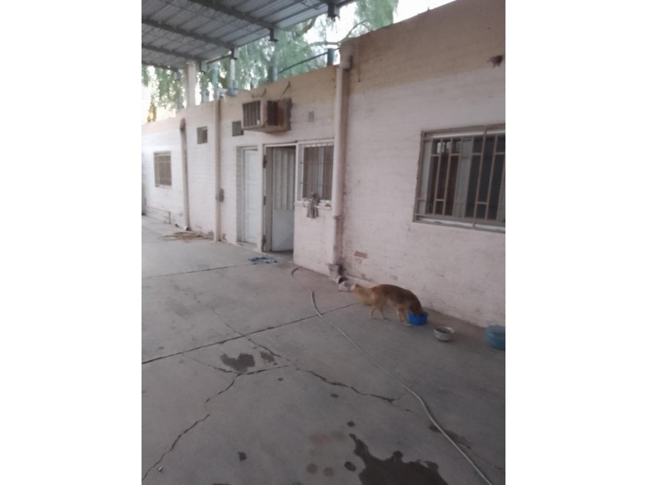 Alquiler Galpón Con Oficinas Y Casa Capital