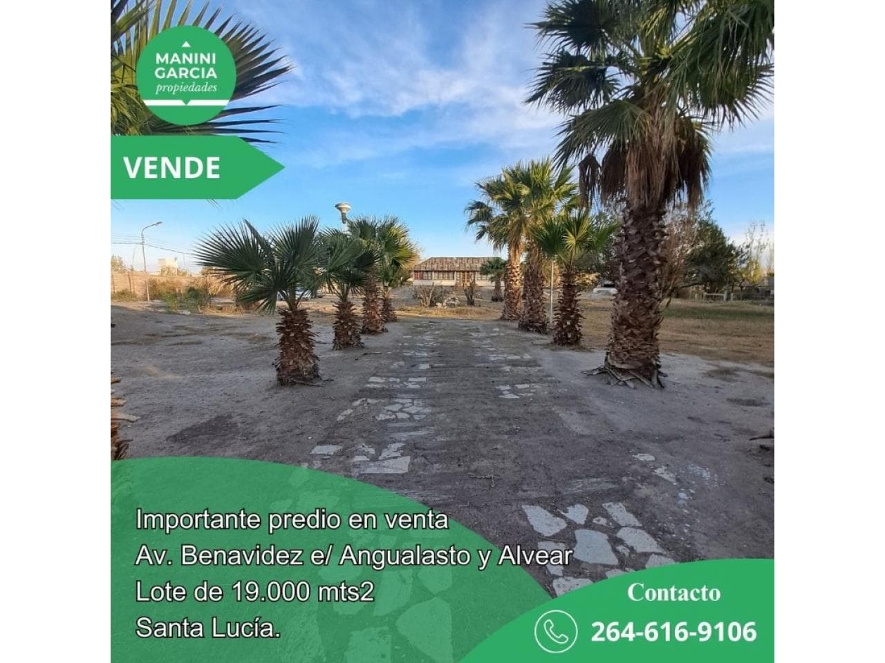 Terreno De 19.000 Mts2 - Santa Lucia - Ideal Desarrollo