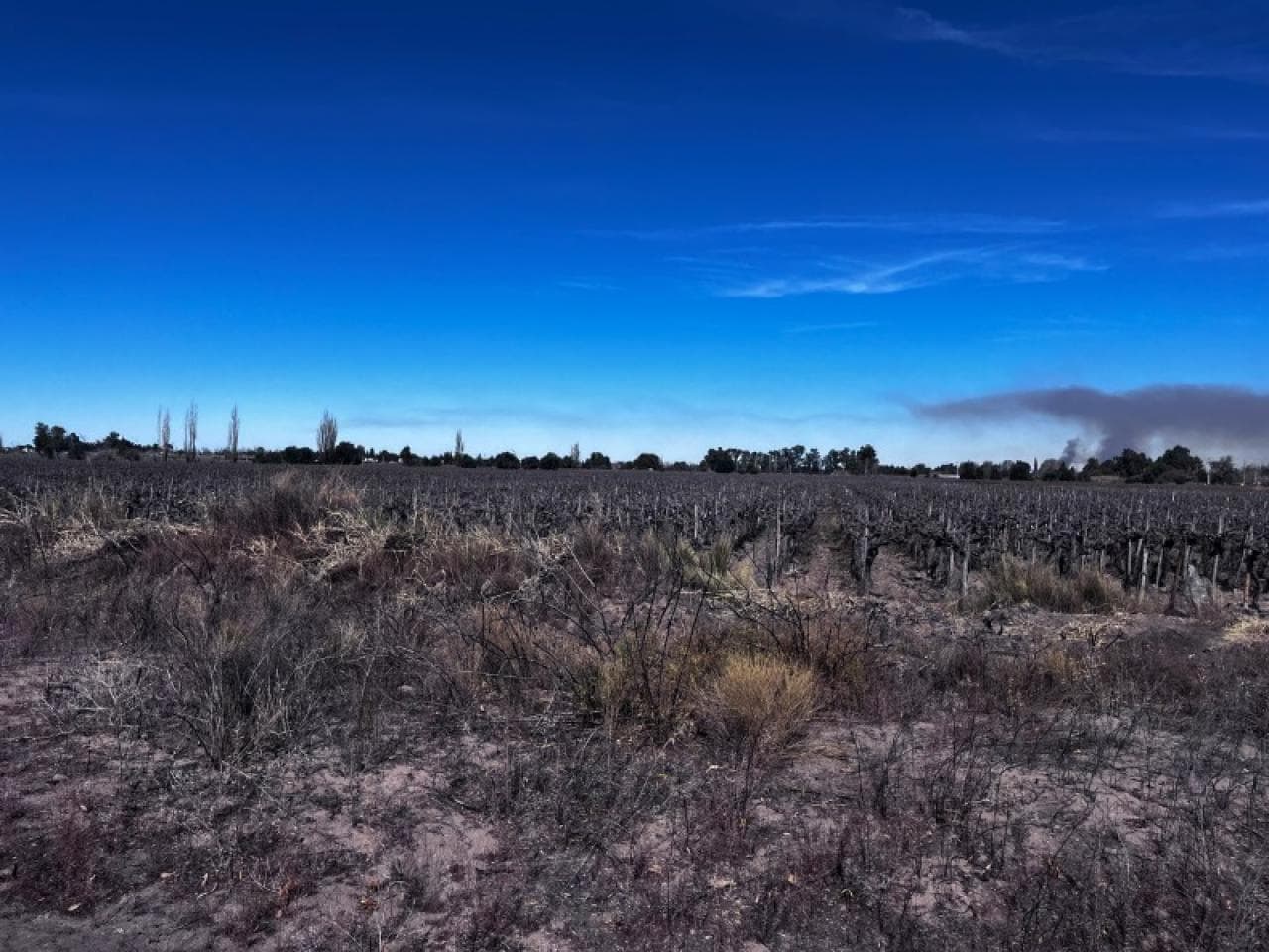 Lotes A La Venta Ubicado En Calle La Plata, Esquina Rastreador Calivar. Caucete