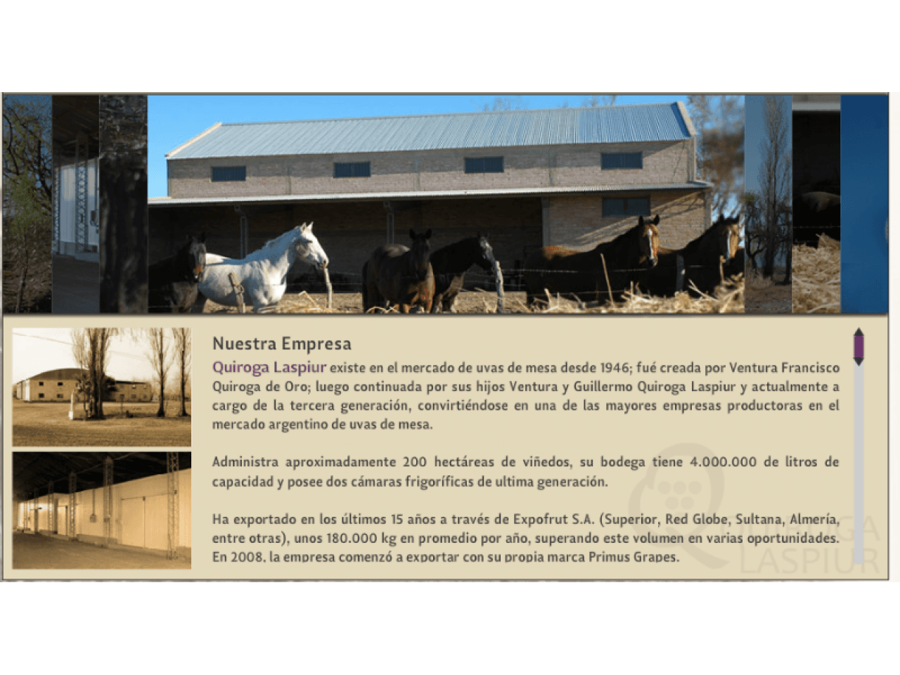 Sociedad En Funcionamiento - Fincas Y Bodega - Vendo O Alquilo. 25 De Mayo