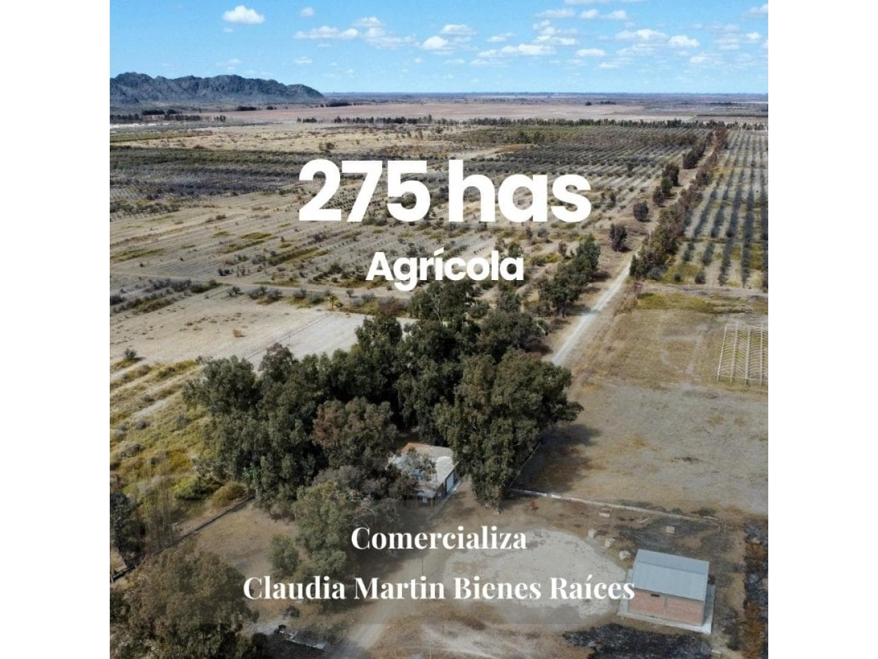Campo De 275 Has. Ubicado En Zona De Calle 16 Al Pie De Cerrillo Barboza. 2 Pozos De Agua Mineral Autosurgentes.