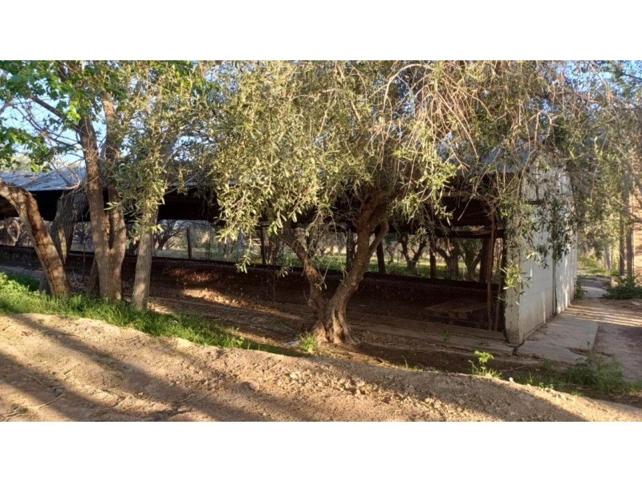 Alquiler. Galpon De 800 M2. Rivadavia