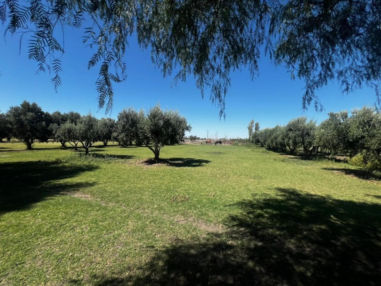 🔵 Venta. Terreno Privado En Pocito - Lote 30 - B° Solares De Pocito - Ref 3045 🔵