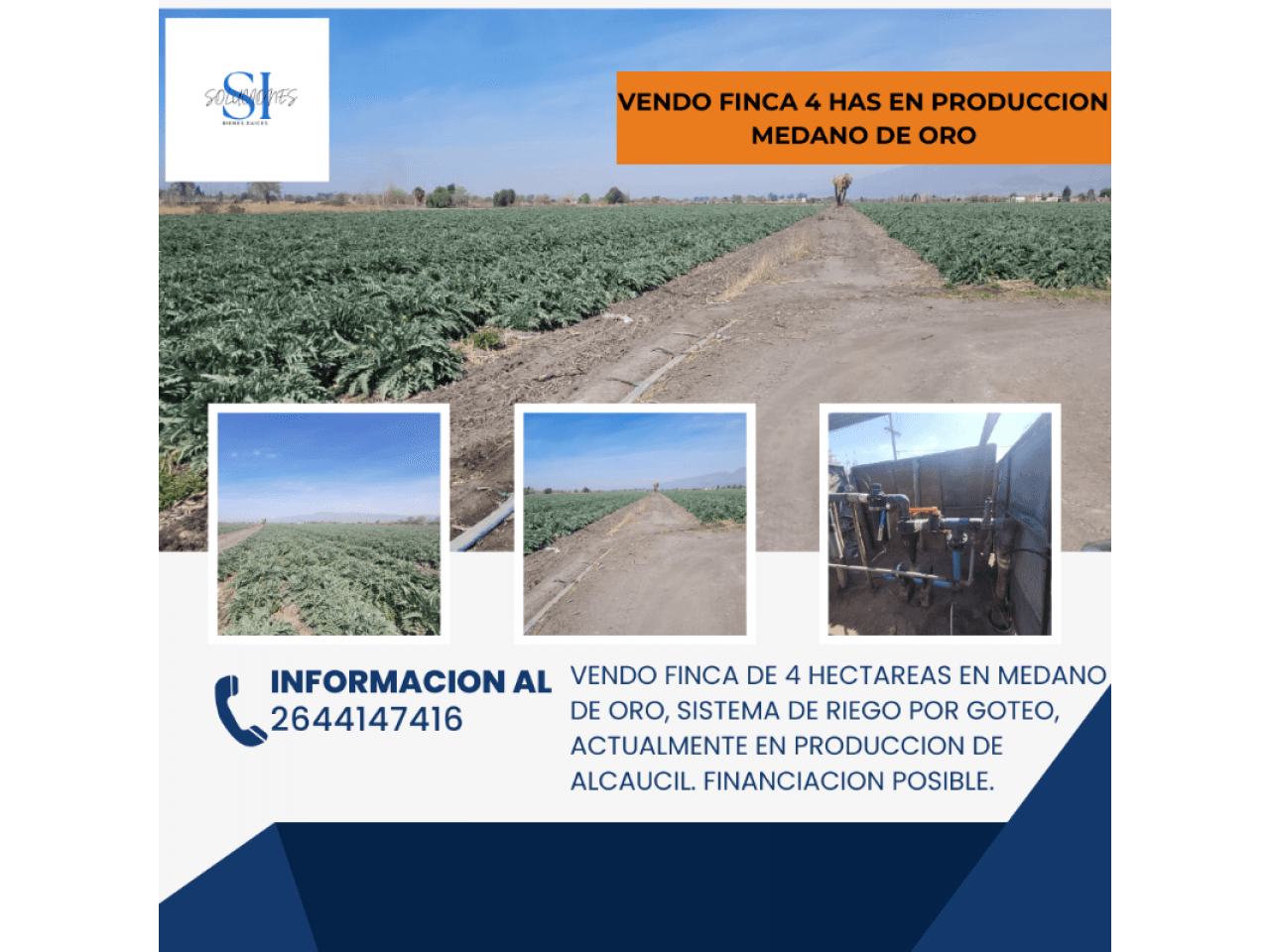 Venta Finca 4 Has En Medano De Oro. Rawson