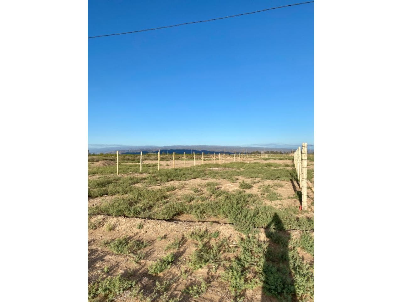 Venta Lote En 9 De Julio