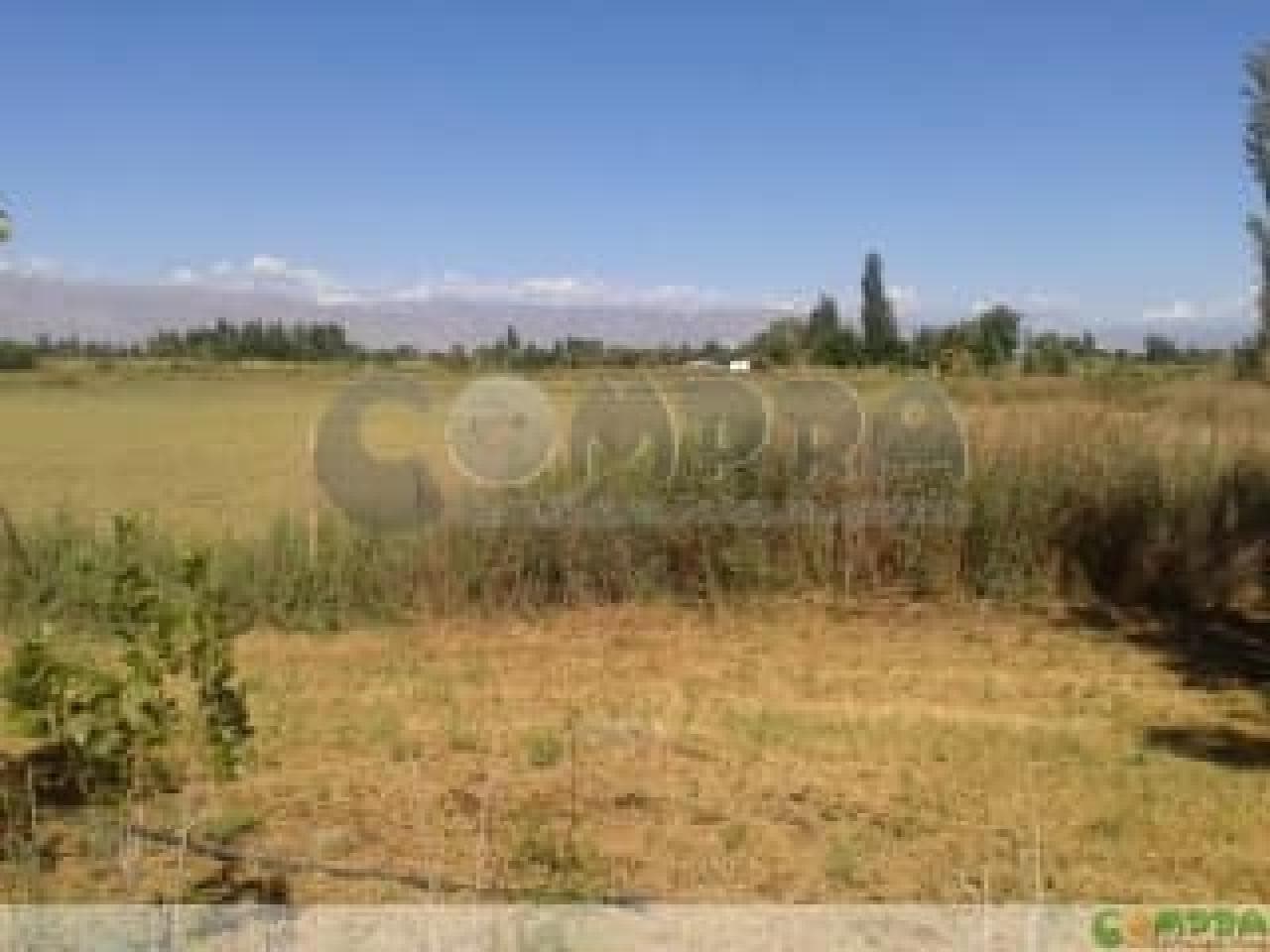 Venta. Lote En Médano De Oro. Rawson