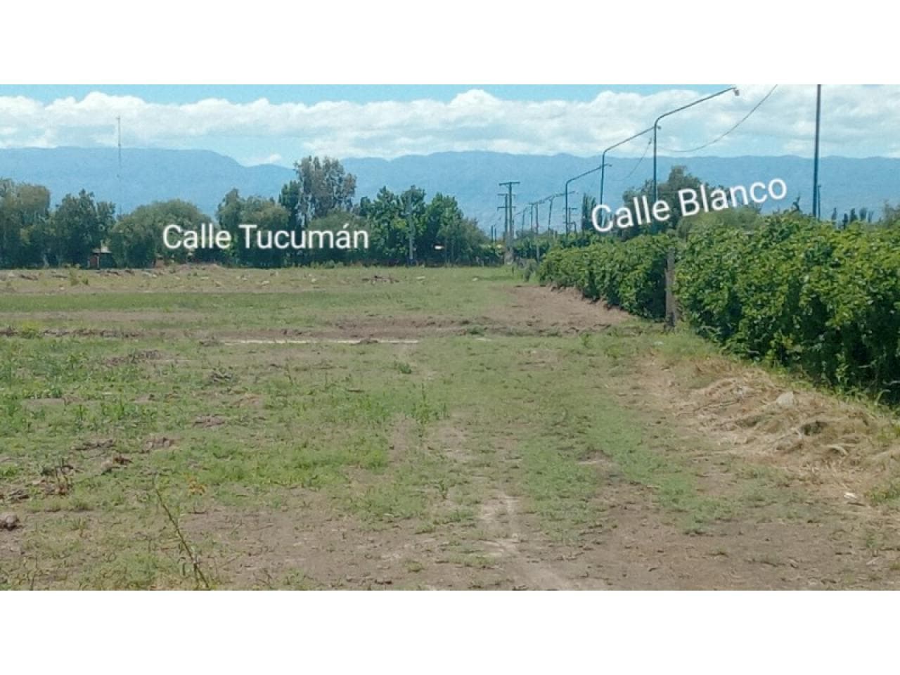 Venta Lotes De 800 Mts Sobre Calle Tucumán Y Sobre Calle Blanco. Albardón. Financiamiento.