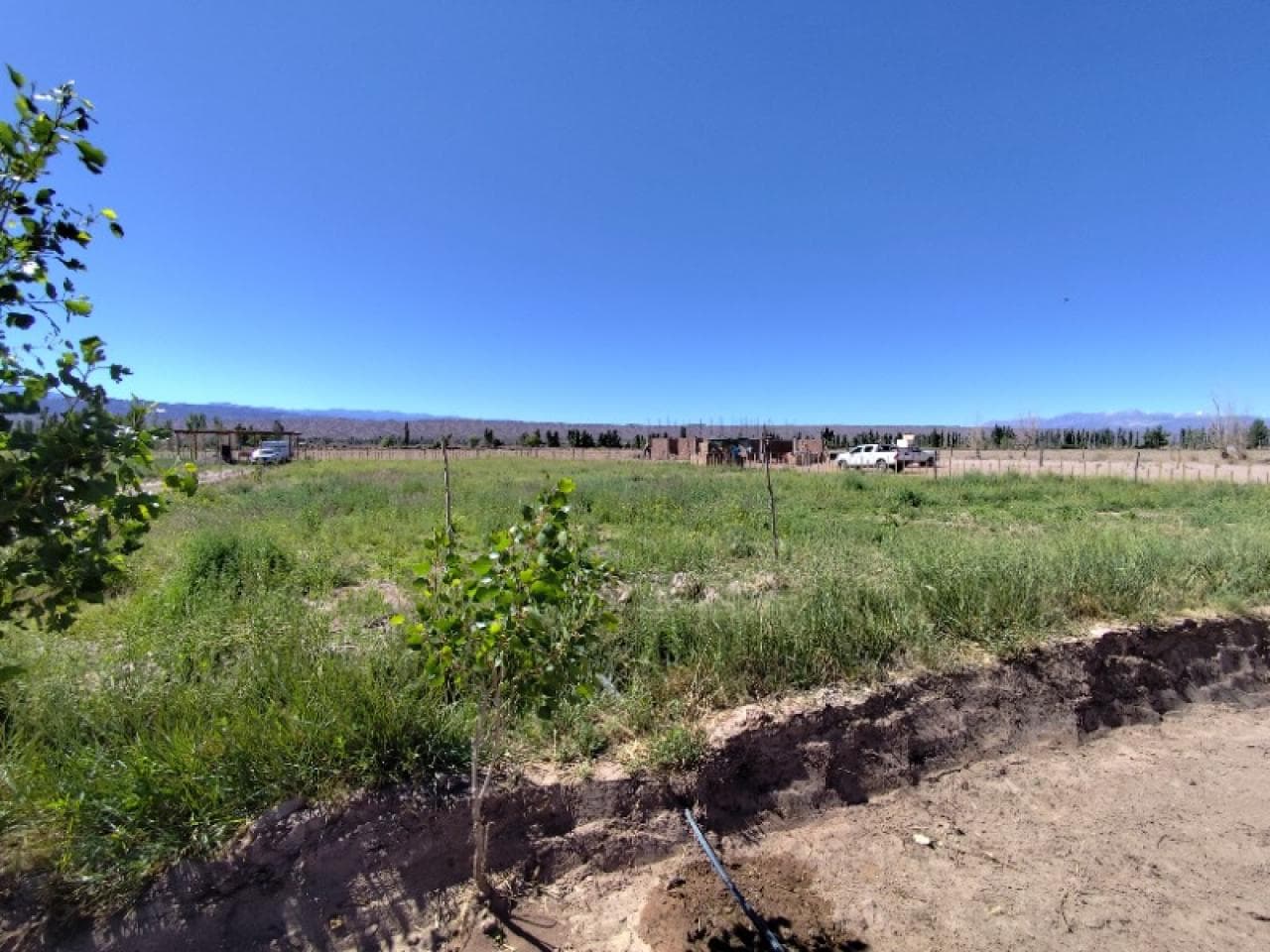 Venta. Lote En Barreal Villa Pituil 2000m2 Con Esctritura, Servicios Y Riego