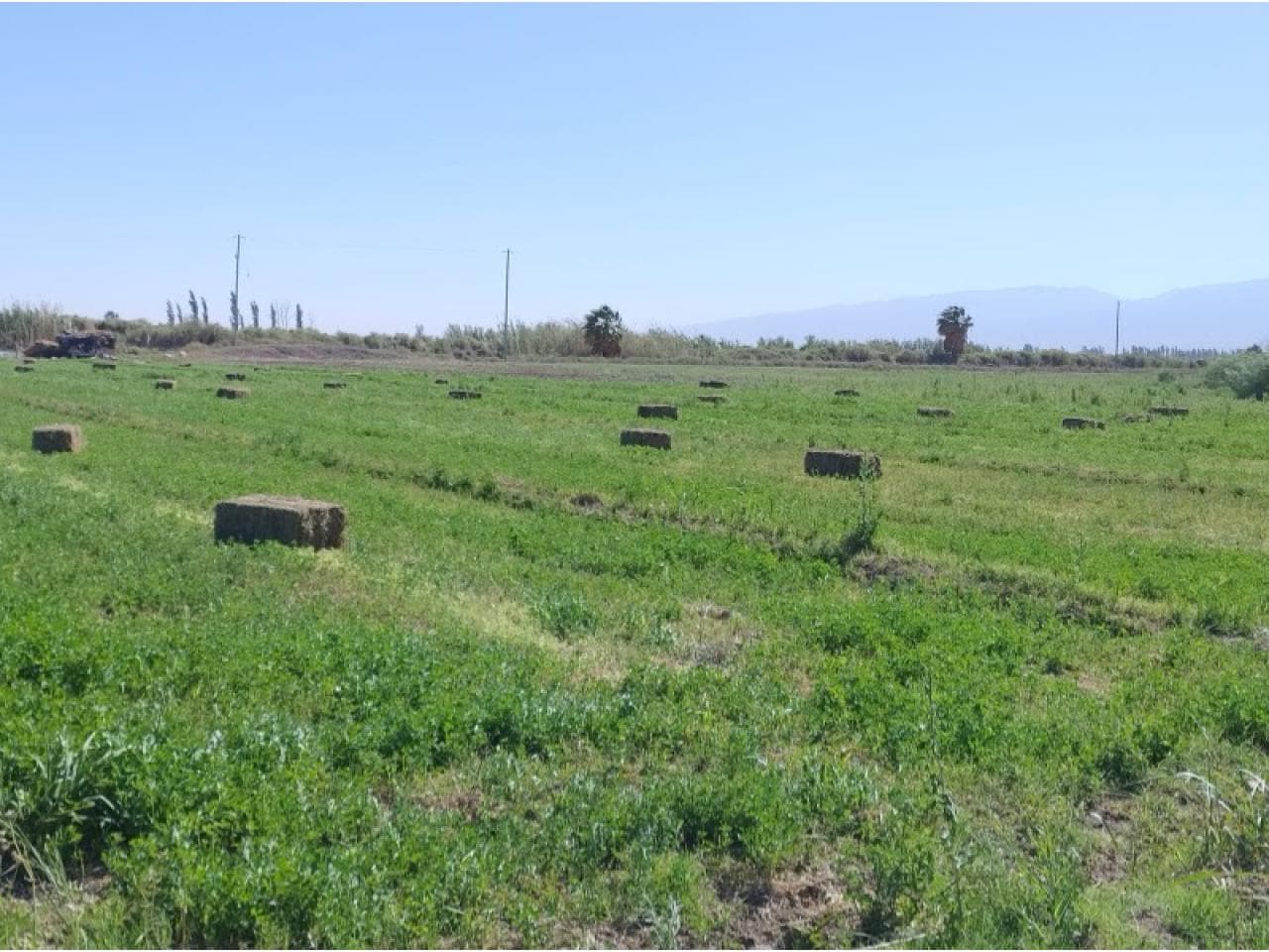Venta. Finca Angaco Excelente Ubicacion Con Agua 12 Hectareas