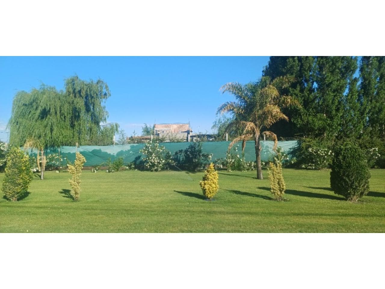 Barrio Privado Complejo Cervantes. El Medanito. Seguridad 24 Horas. Venta 24 Lotes. 50% Construido. Escrit. Inmediata
