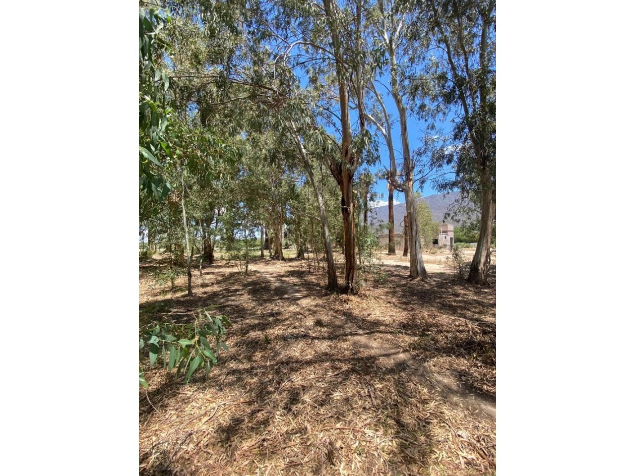 Venta Lote 1370m2 - Buena Ubicación