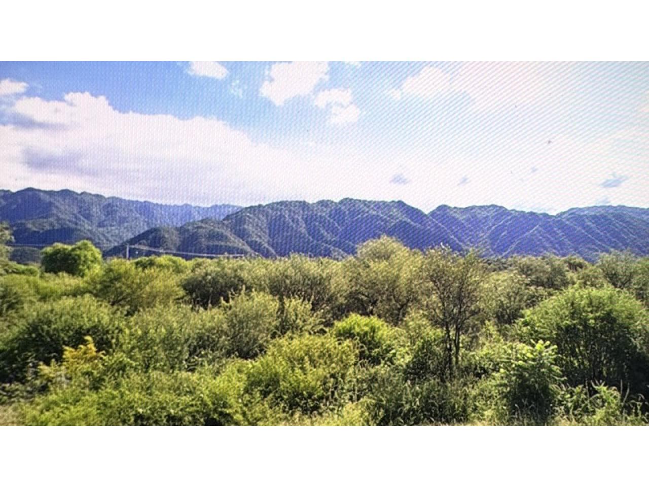 Valle Fertil - Asrttica Terrenos Contiguos  Se Vende Fracción Total O Parcial Tel. 2646296308 - 2645641149