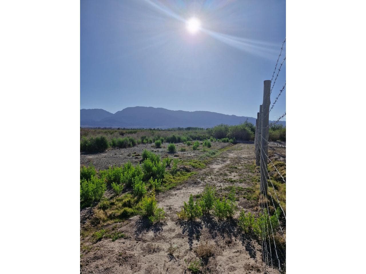 Lote En Venta. Pocito