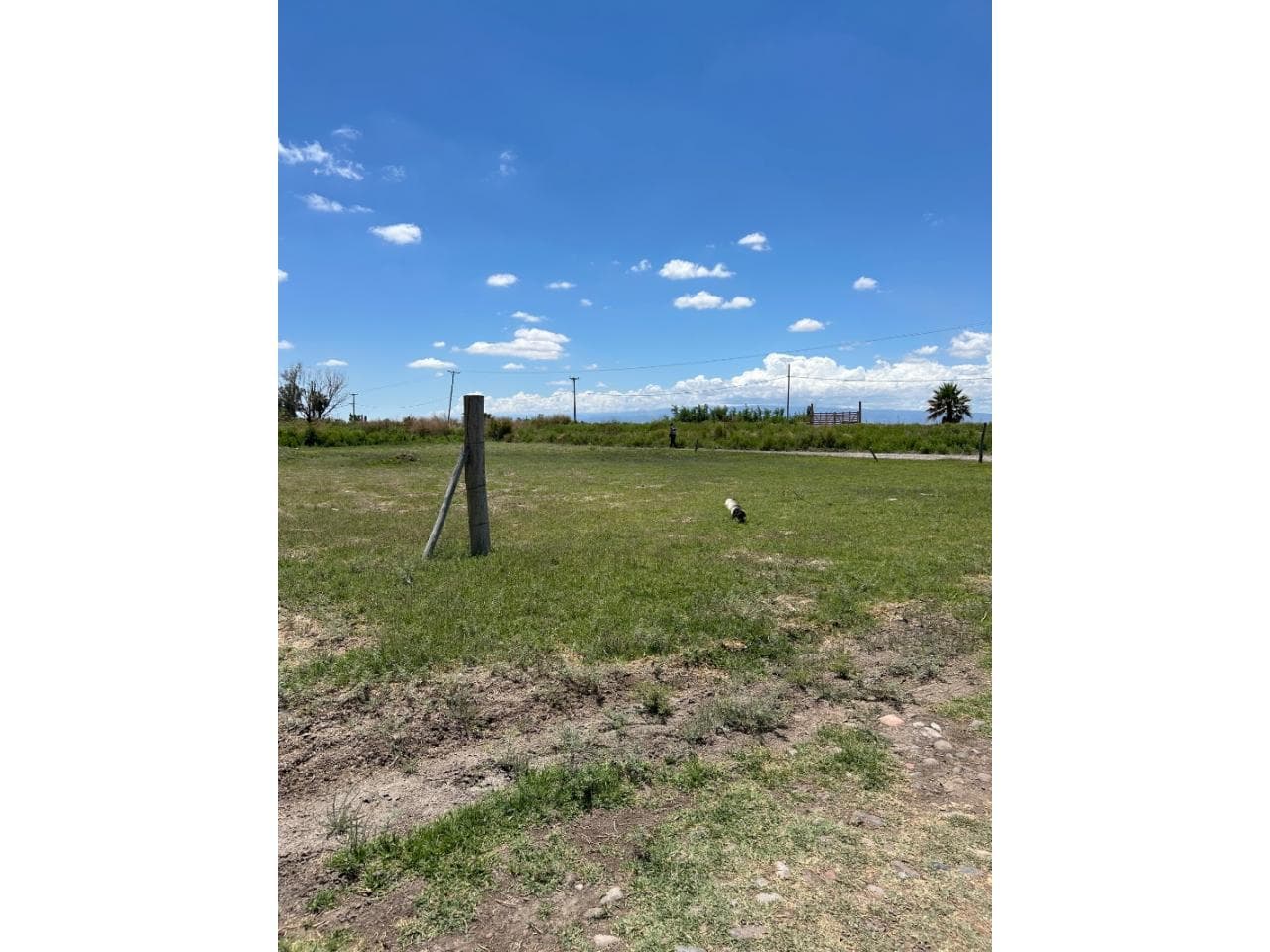 Venta. Lote Publico Excelente Ubicación 2400 Mt2 De Terreno  - Listo Para Escriturar. Pocito