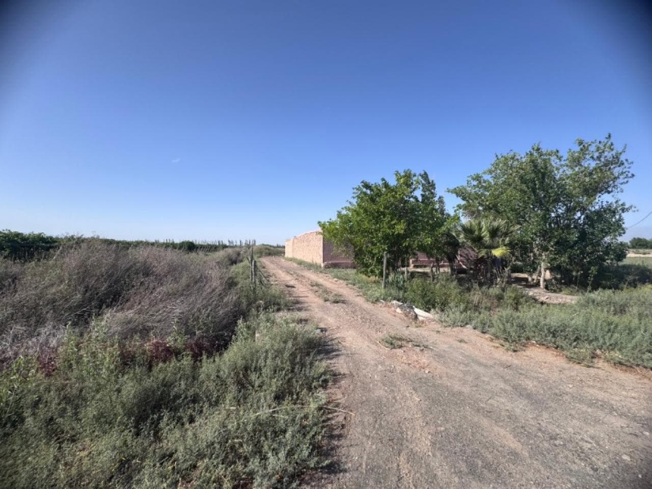 Vendo Finca 20 Hectáreas En San Martin