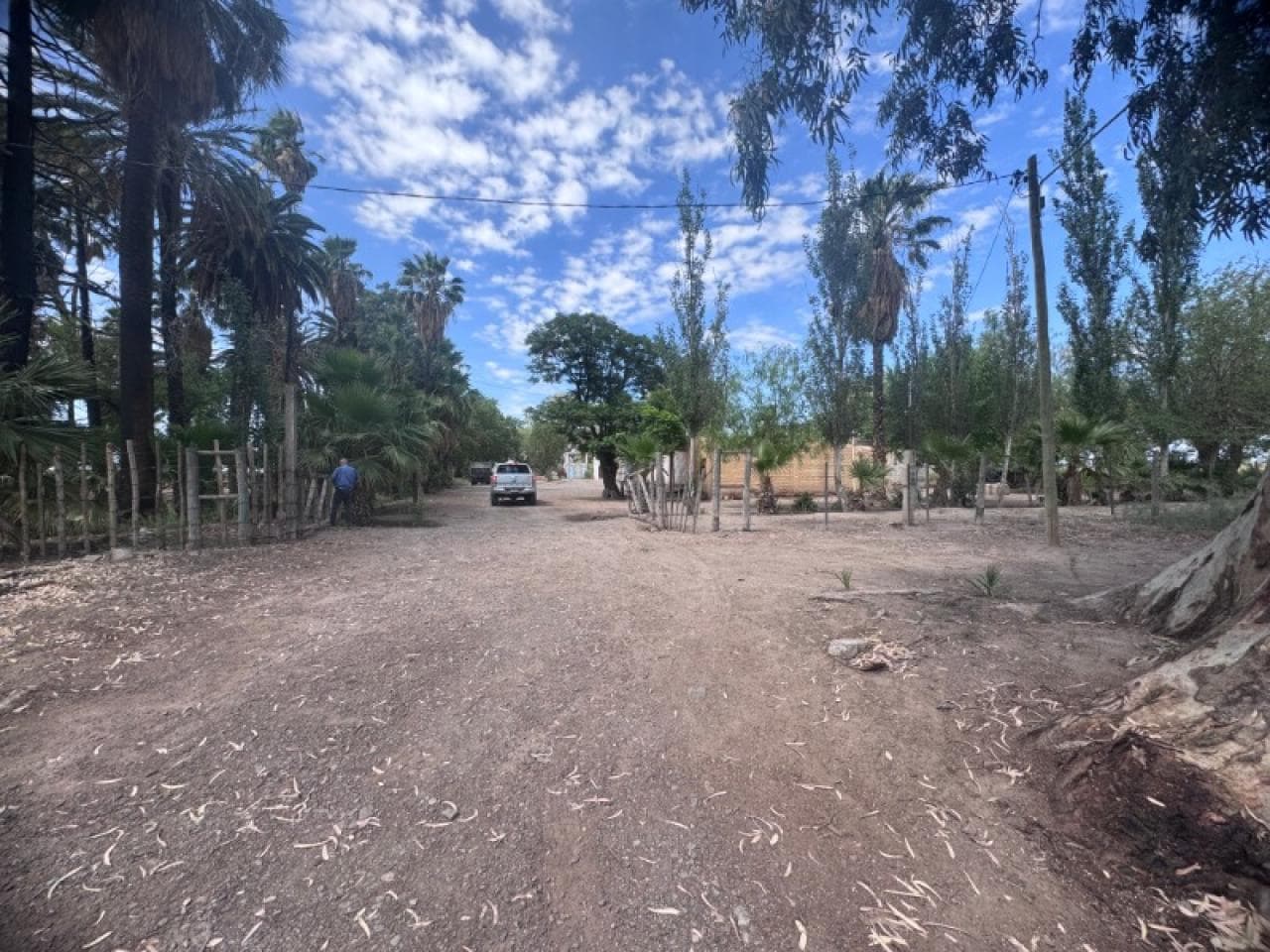 Vendo Finca De 170 Hectáreas (60 Con Parrales) En 25 De Mayo