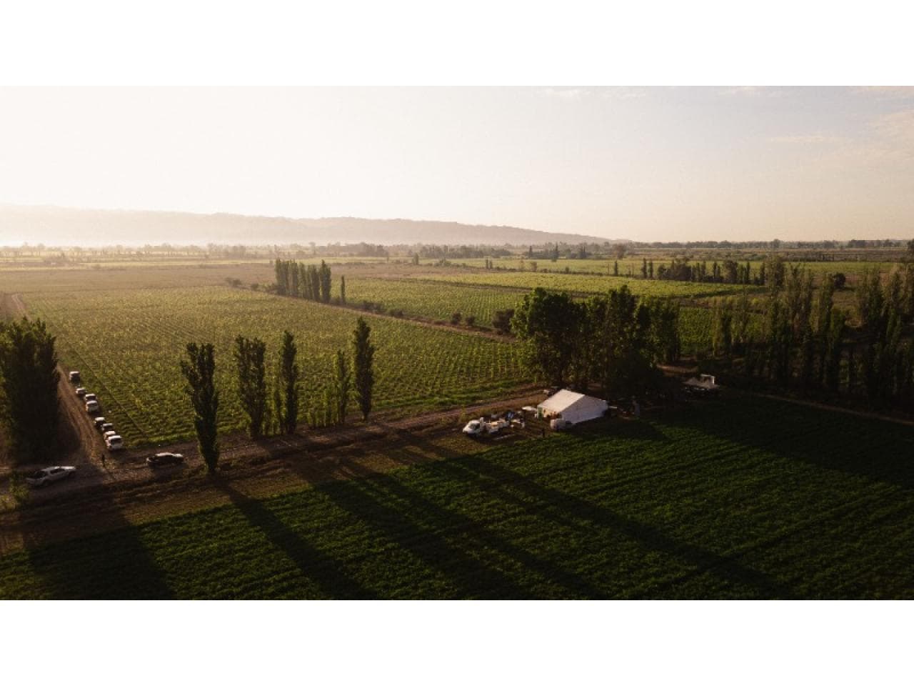 Venta Excelente Finca En San Martin 135 Has