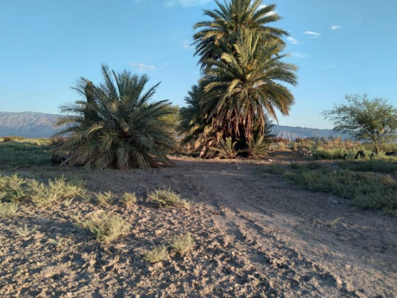 Venta Terreno. Excelente Inversión. 1500 Metros. Angaco
