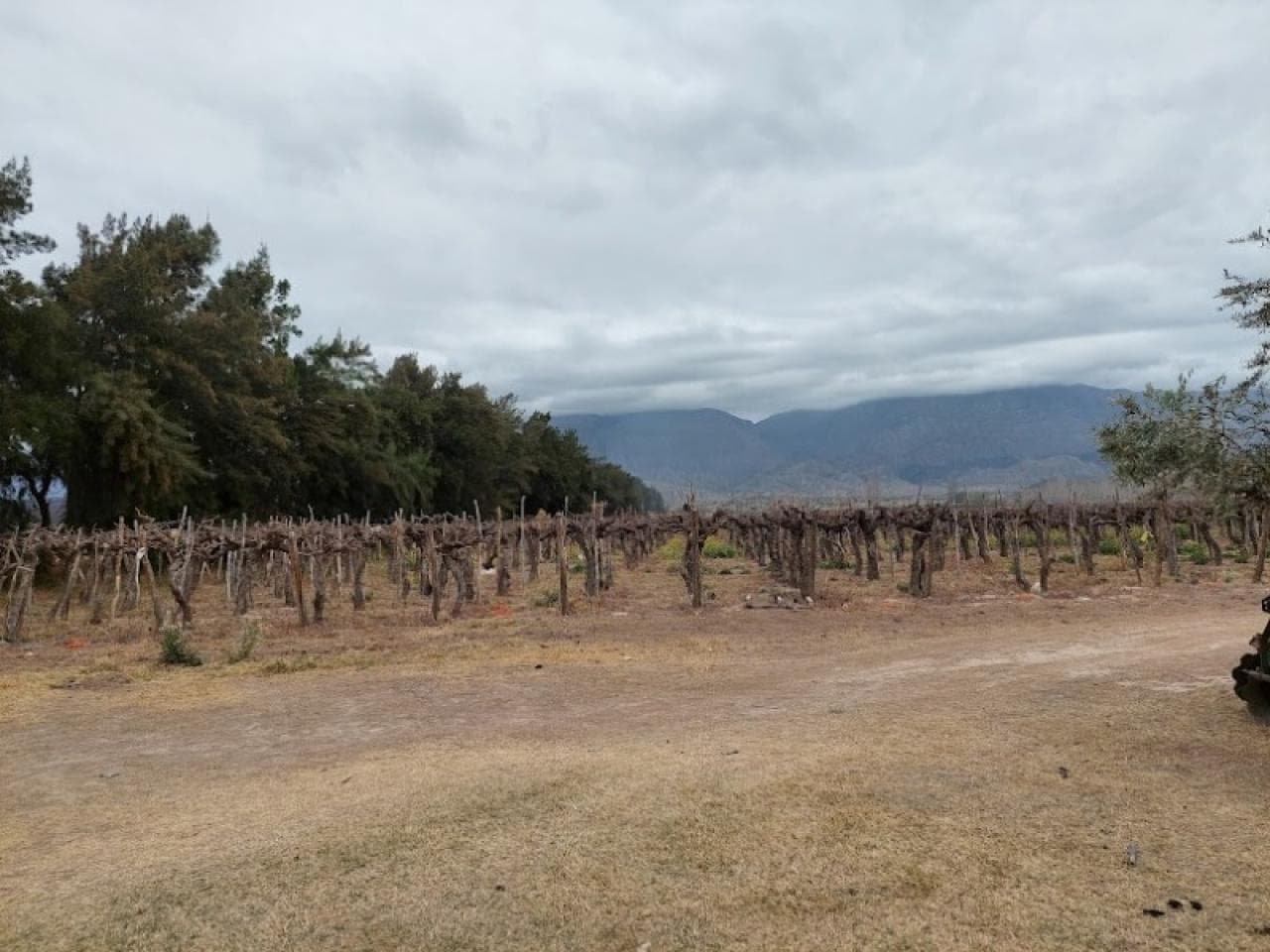 Gran Oportunidad De Inversión Finca  En Carpintería, Pocito, San Juan