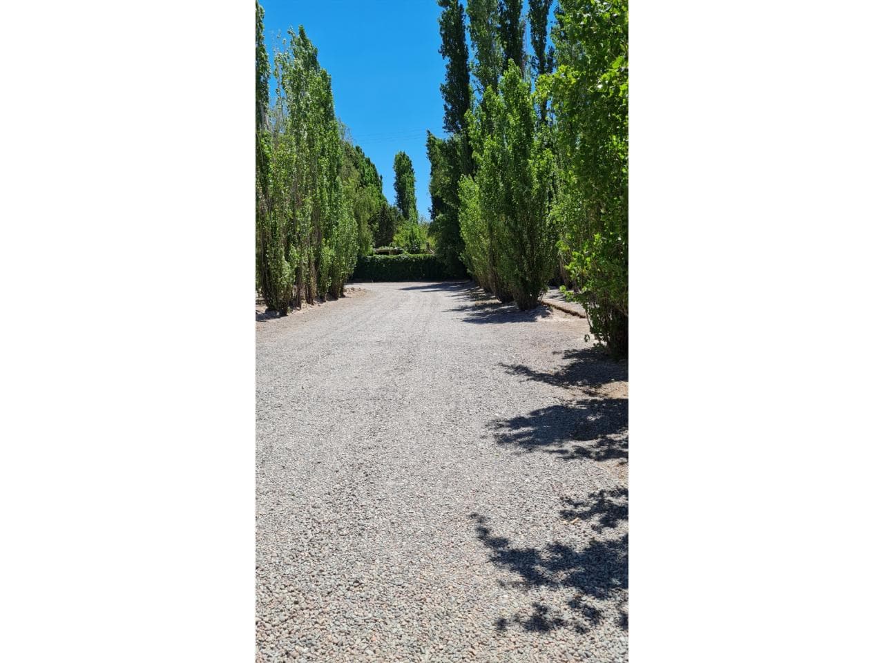 Venta. Terrenos De 1500 Y 1600 Mts. Sobre Ruta 20