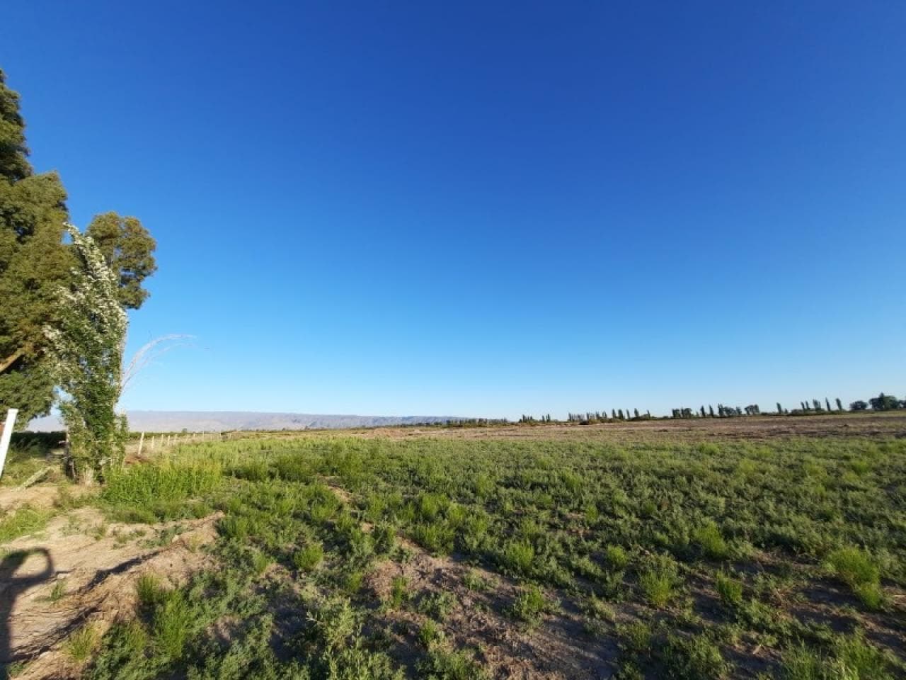 Venta - Terreno En San Martin - 13.43ha - Listo Para Escriturar - Derecho De Agua