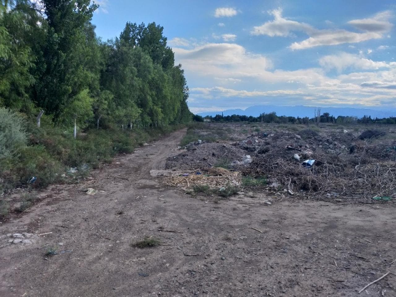 Venta. Excelente Fraccion De 6 Has. Santa Lucia