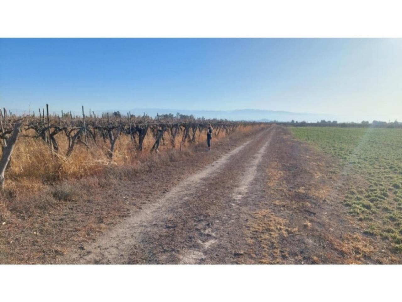 Finca- Oportunidad
