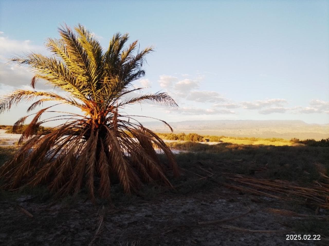 Venta. Hermosos Terrenos Desde 1500 Metros Dueña Directa Financiación Propia. Angaco