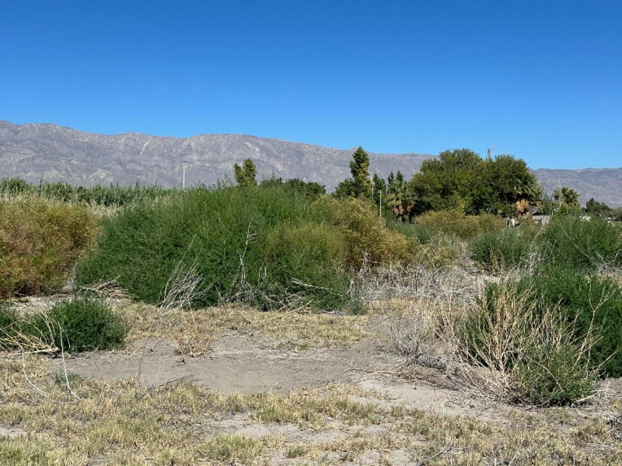 Venta. Hermoso Lote De 10.000 M2 Sobre Calle 12 Al Este De Ruta 40 Unos 900 Mts. Pocito