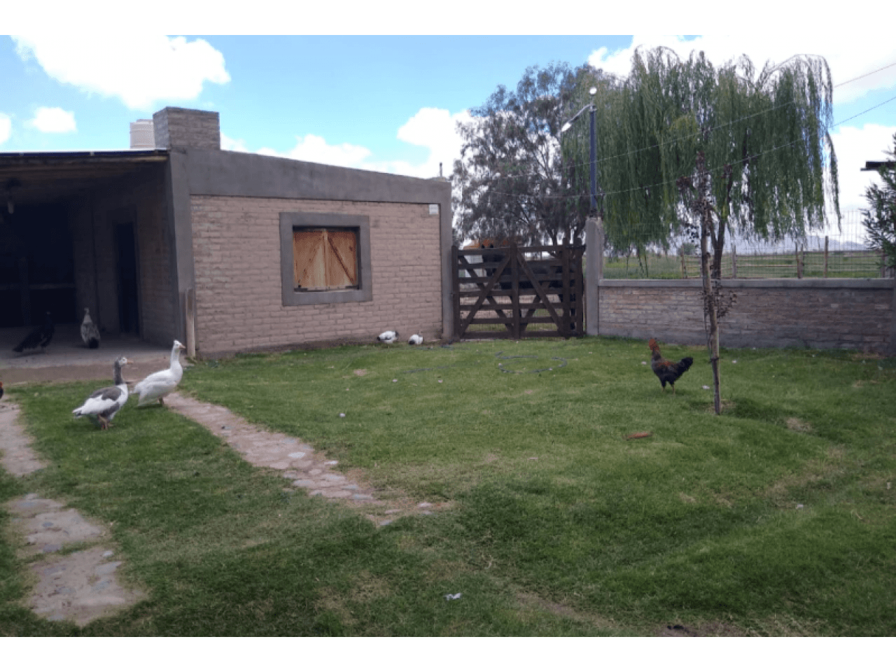 🏡 Venta Finca Jachal 7 1/2 Hectáreas C/ Casa, Pileta, Tractor, Herramientas P/ Enfardar, Corrales.