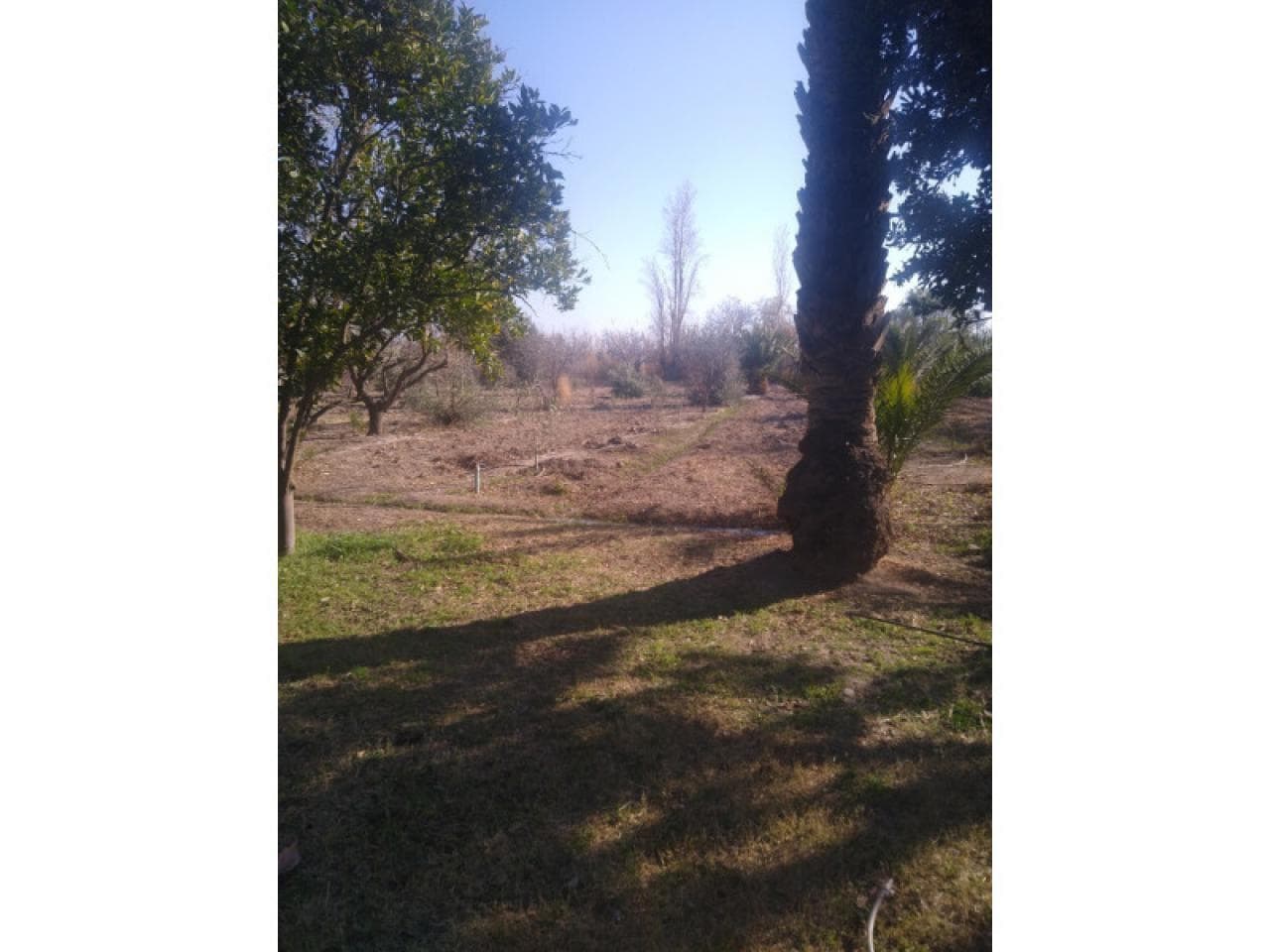 Primeros 60 Dias  Gratis. Alquilo Terreno Cerrado Con Servicios  8000 M2  En Pocito. 5to Cuartel