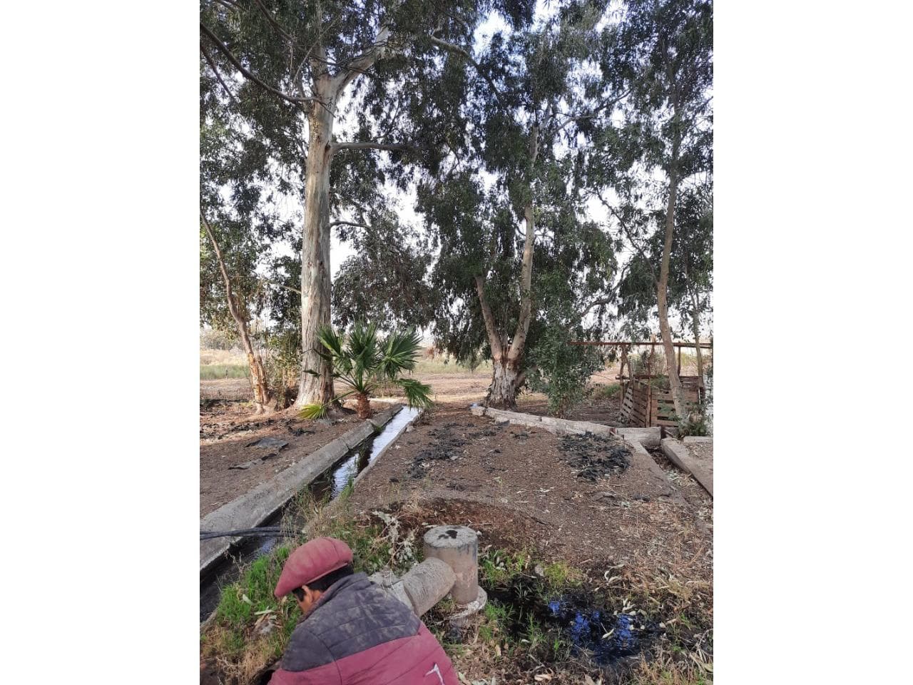Ideal Para Pistacho Finca Con Dos Pozos Autosurgentes 400mts Profundidad