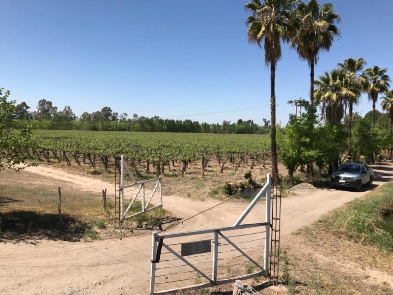 Venta. Finca 177 Hectareas Bajo De Valor