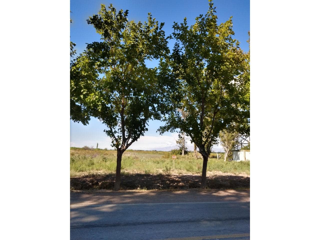 Venta. 2 Ha 8408 M2. Angaco