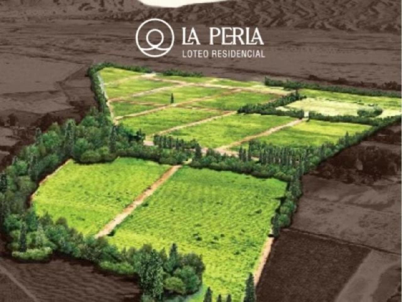 Venta Lote Complejo La Perla Rivadavia Lote41 Mz15 Puesta De Luz Y Agua Y Cluacas Listo Para Ser Pocesion Escritura Indi